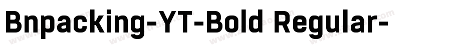 Bnpacking-YT-Bold Regular字体转换